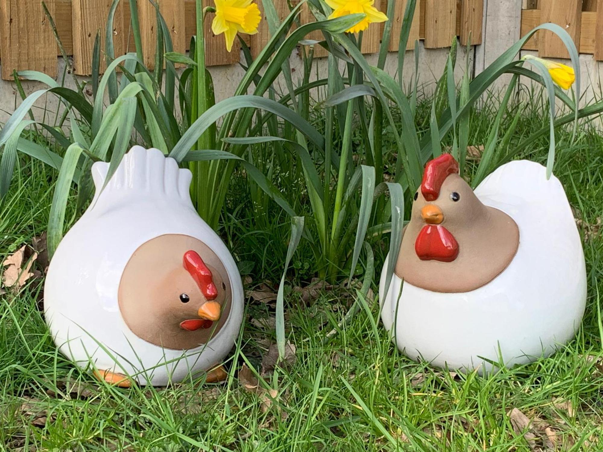 Appartamento The Coop Holsworthy Esterno foto
